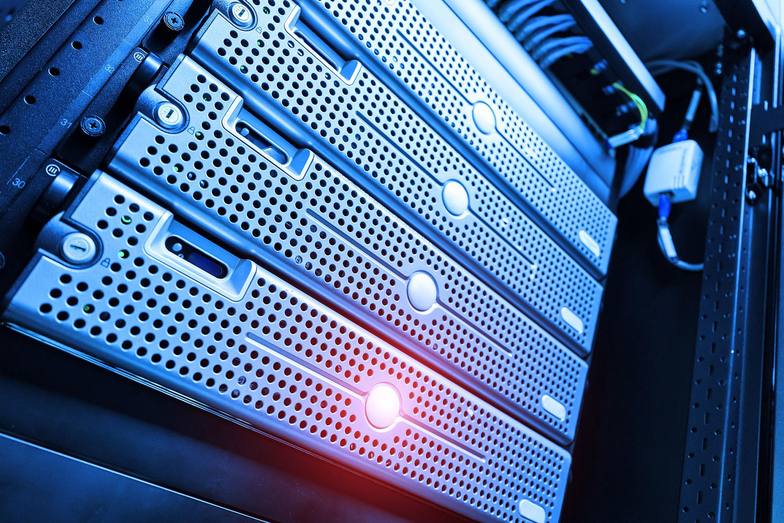 Server Hosting